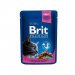 BRIT PREMIUM Cat Adult Kura i indyk 100g / 2.70zł